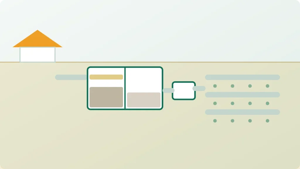 Septic system diagram showing the house outflow pipe, two-chamber tank, distribution box and drain field trenches in soil